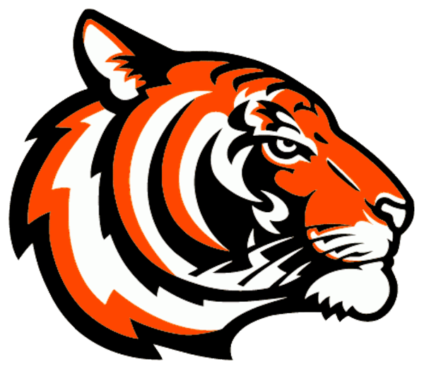 Векторные рисунки