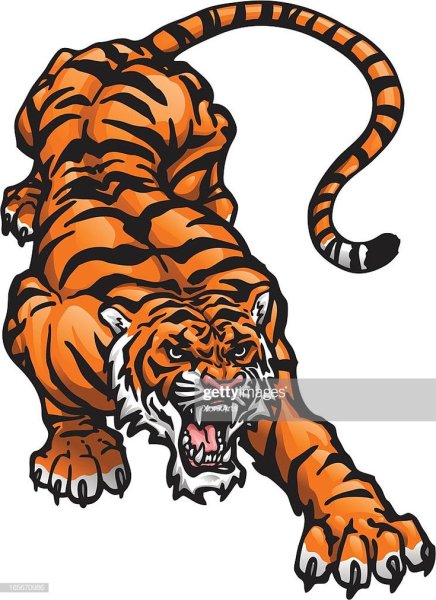 Векторное изображение тигра