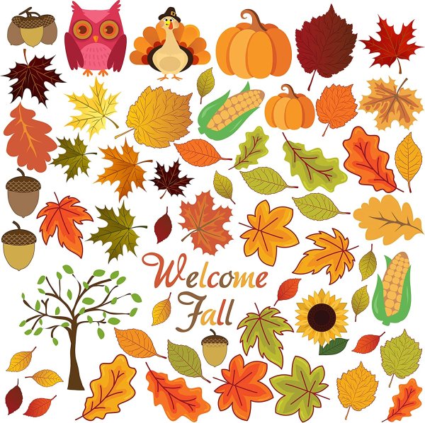 Книжка стикер без фона