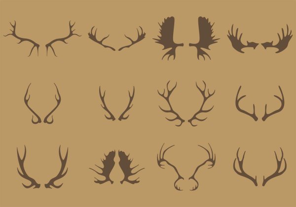 Рога лося вектор