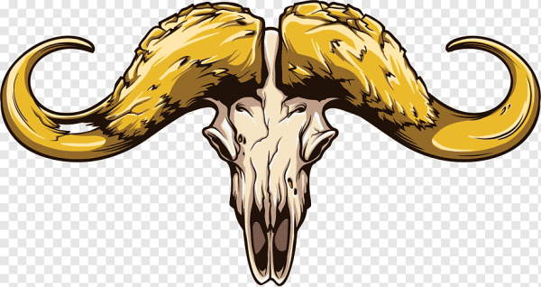 Череп барана