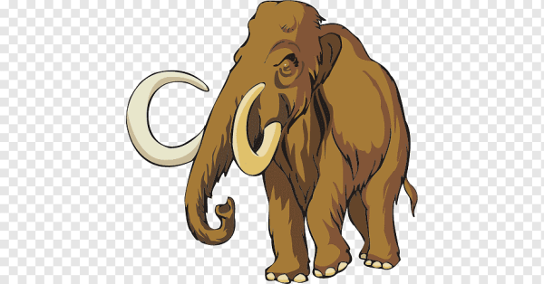 Мамонт спереди вектор