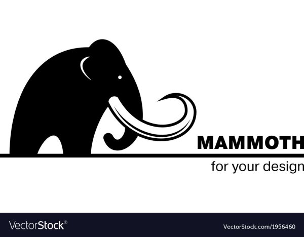 Значок Mammoth Museum