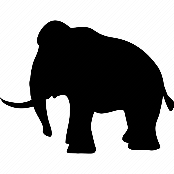 Черный мамонт