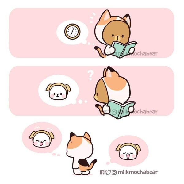 Мишки Milk and Mocha картинки