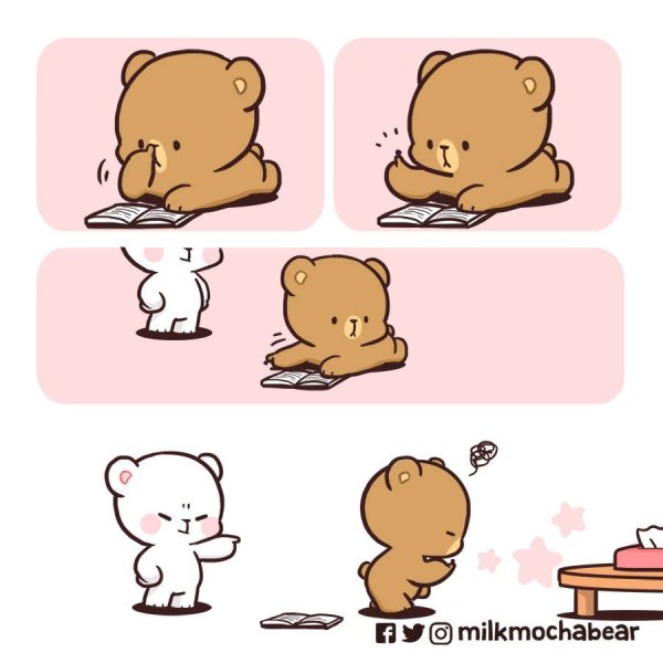 Milk Mocha Bear похожие