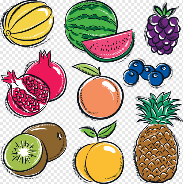 Фрукты набор вектор