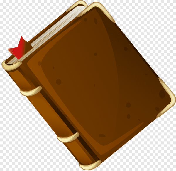 Букинг вектор