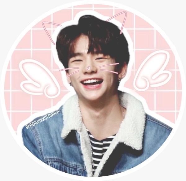 Наклейки k Pop Stray Kids