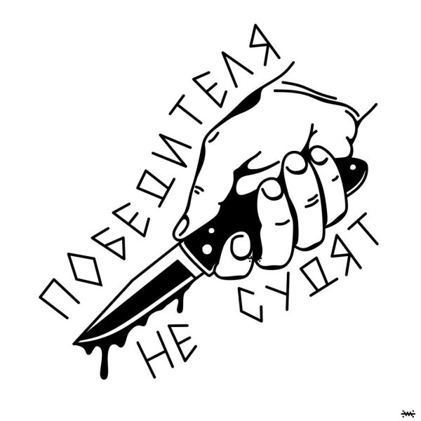 Racoon енот Стикеры телеграм