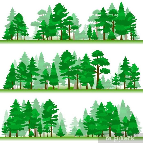 Силуэт смешанного леса