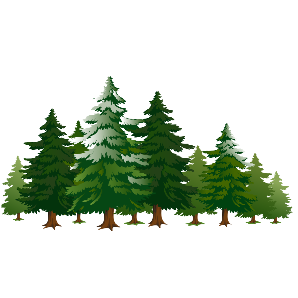 Лес рисунок