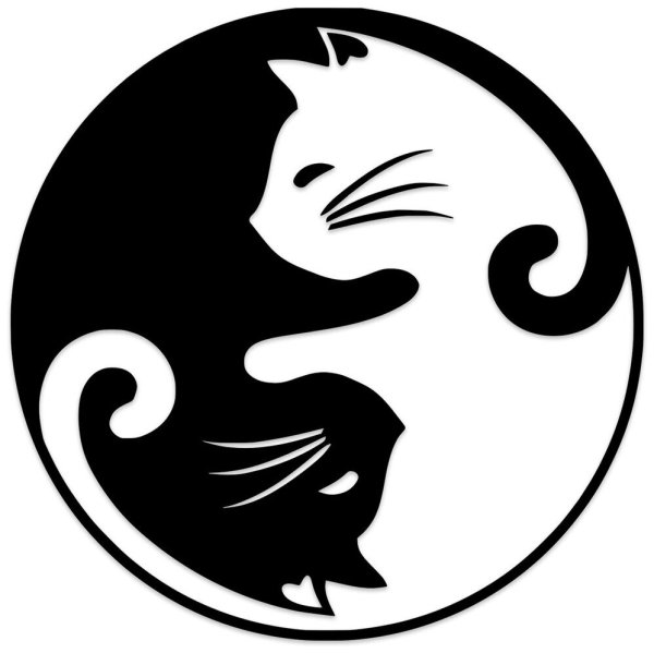 Кошачий Инь Янь