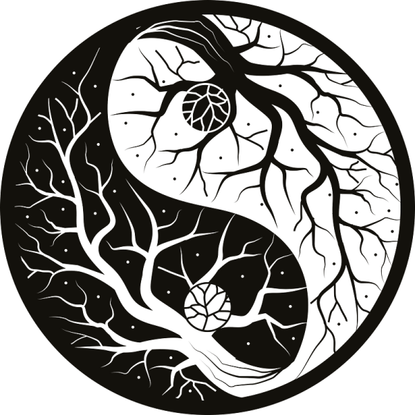 Инь Янь Бурятский