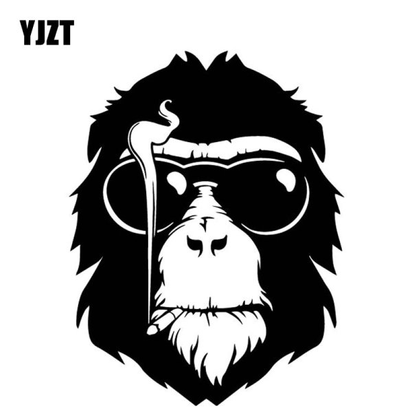 Обезьяна в очках