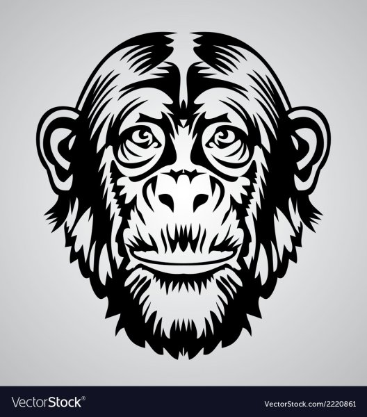 Обезьяна Векторная Графика