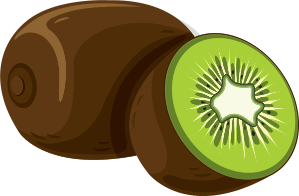 Векторный киви