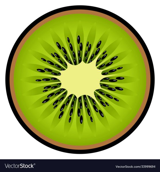Сок киви вектор