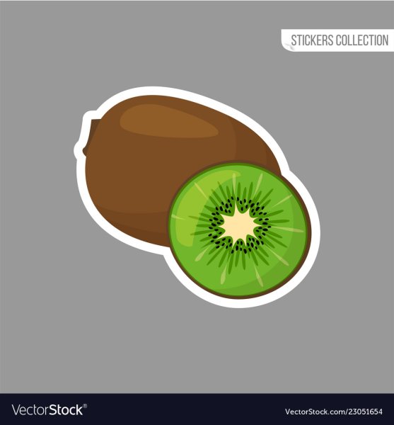 Киви фрукт вектор