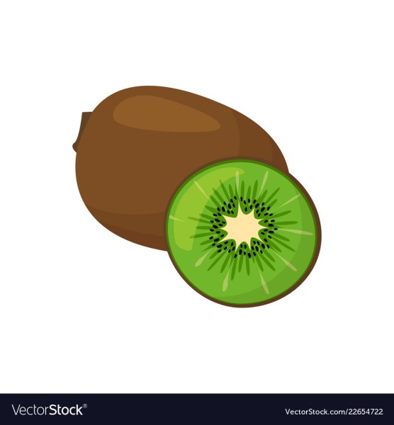 Киви Векторная Графика