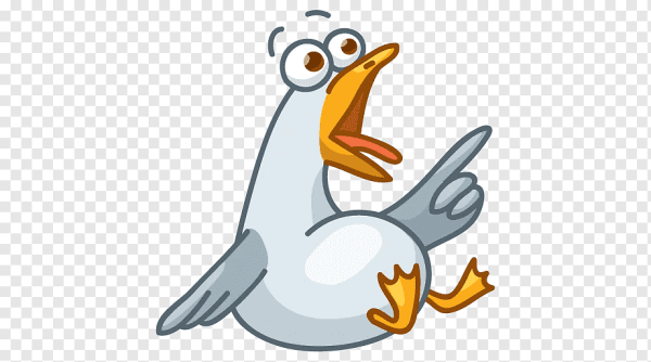 Стикеры птицы