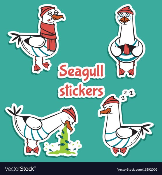 Seagull наклейка