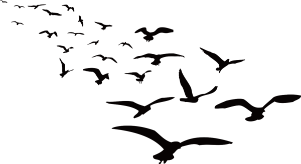 Силуэт летящей птицы