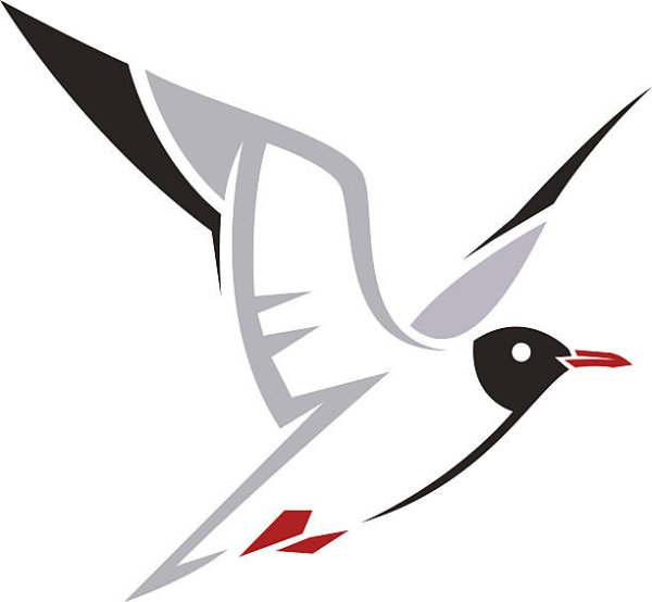 Стилизация Чайки