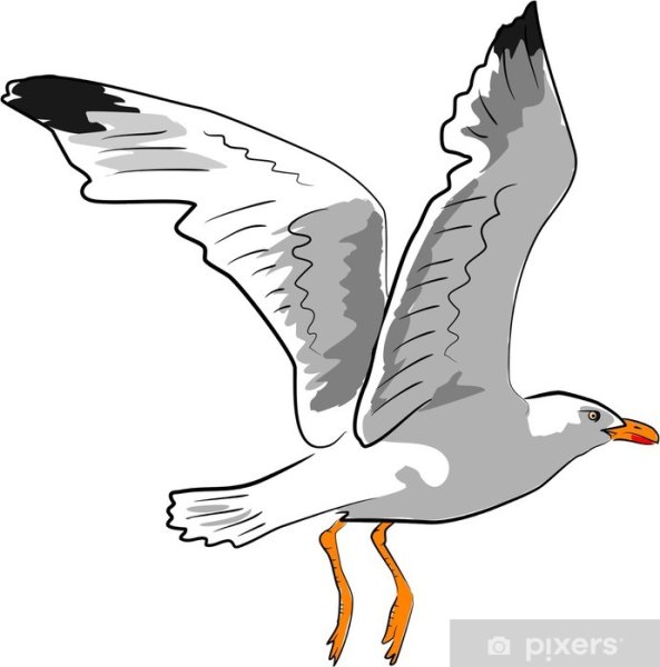 Чайка для детей