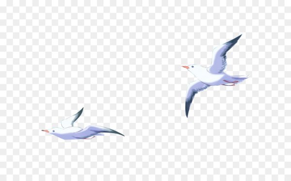 Чайки мультяшные