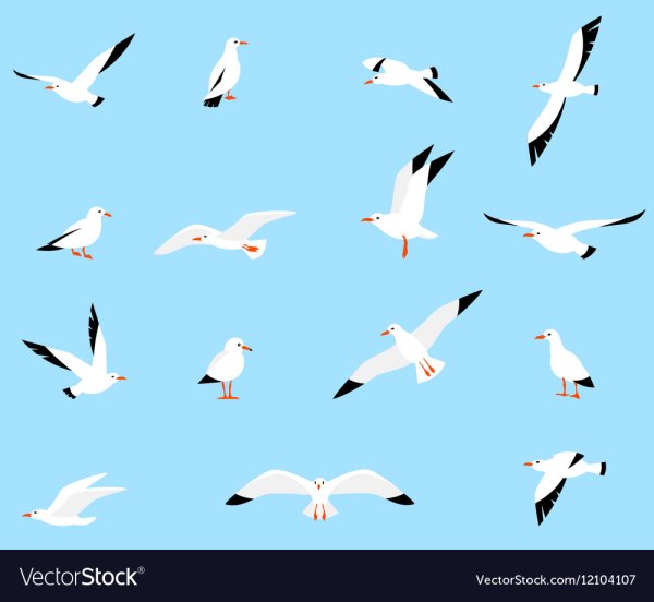 Векторные стилизованные Чайки