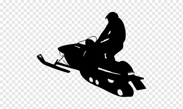 Стикеры белый кот Снежик