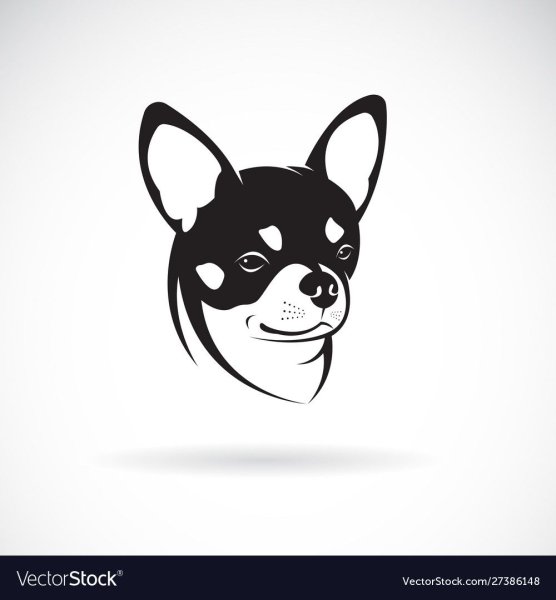 Чихуа вектор