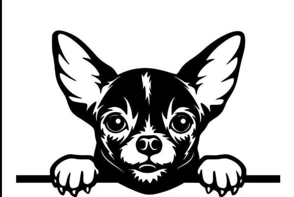Чихуахуа контур