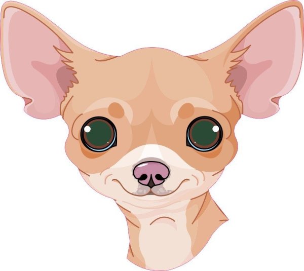 Стикеры собака чихуа