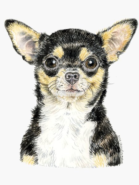 Стикеры чихуахуа