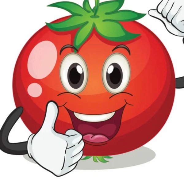 Помидор на белом фоне