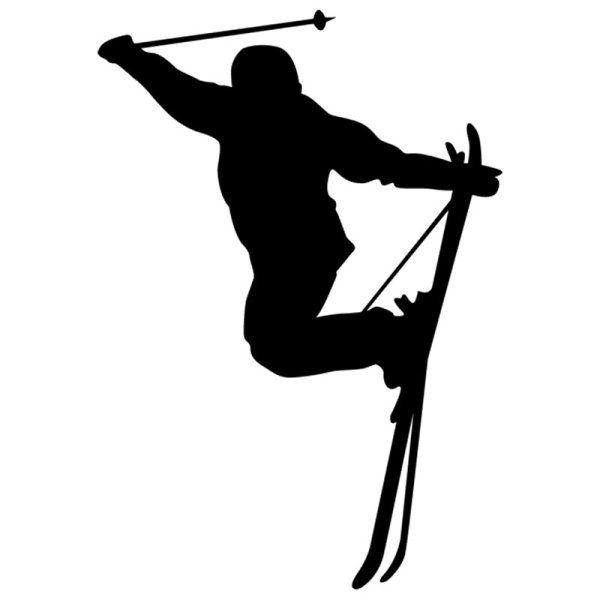 Лыжница вектор мотивация