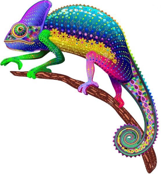 Хамелеон Графика логотип