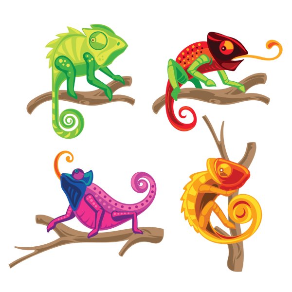 Chameleon, наклейка