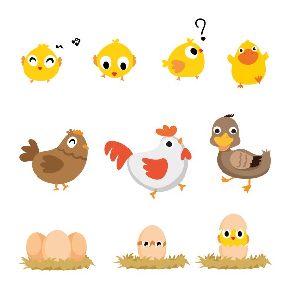 Цыпленок вектор