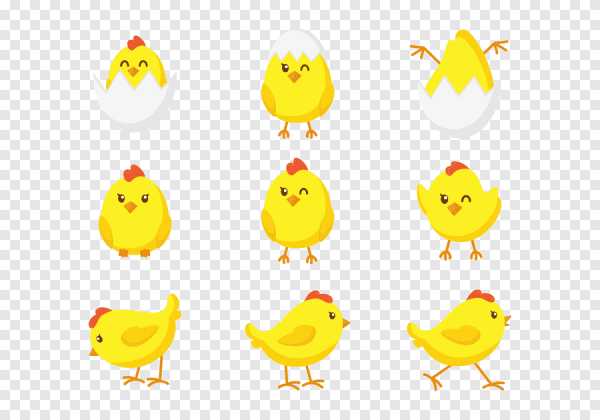 Цыпленок рисунок