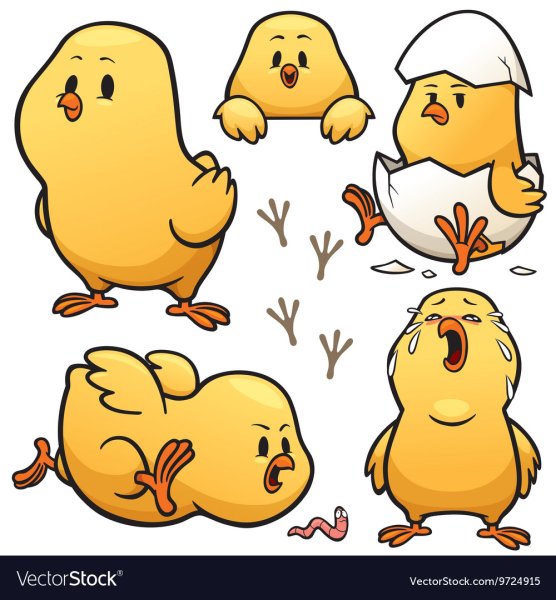 Цыпленок в скорлупе вектор