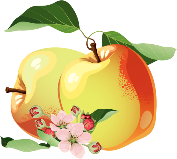 Яблоко Минимализм