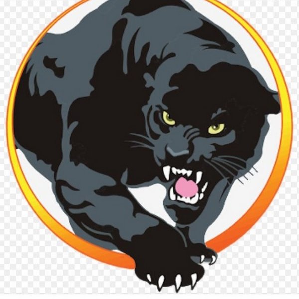 Логотип компании пантера