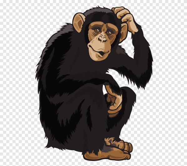 Обезьяна иллюстрация