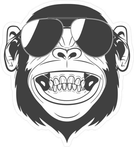 Обезьяна в очках