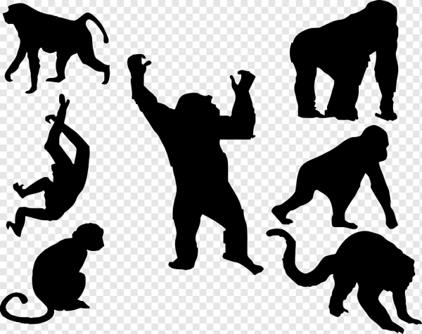 Векторное изображение обезьяны