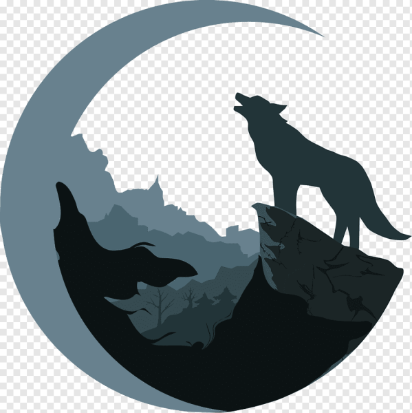 Силуэт волка на скале