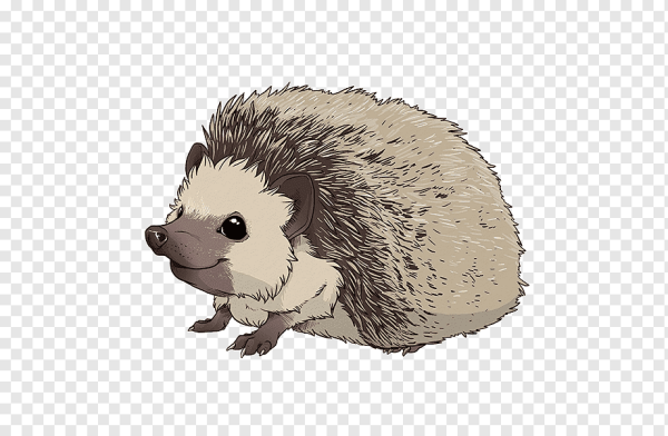 Ежик без фона